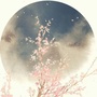 小葩