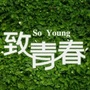 致青春