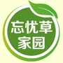 忘忧草家园网站