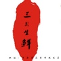 北京岭上昭阳文化传媒有限公司