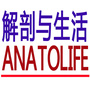 解剖与生活