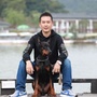 犬友之家