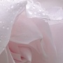 AdoreYouStyle