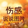 一句话一首歌一故事