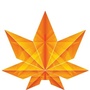 加拿大枫叶英语