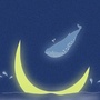 鳗鲸的海