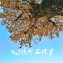 QZ摄影工作室