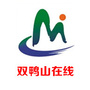 双鸭山在线