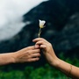 女人爱上男人那点事