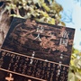 周朝1993