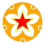 团聚鑫青