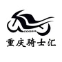 重庆金鹰车队