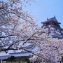 商都社区
