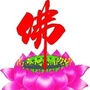 净空卍法师