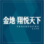 金地翔悦天下