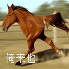 壁纸 动物 狗 狗狗 马 骑马 240_240 gif 动态图 动图