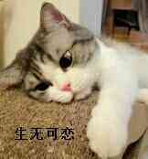 生无可恋表情包