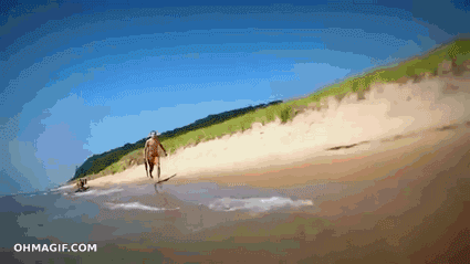 狠搞笑_笑话_热门笑话排行榜_haha笑话