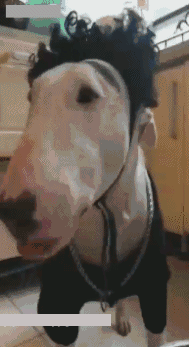 干嘛哪干嘛哪_狠搞笑_笑话_热门笑话排行榜_haha笑话