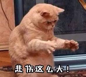 好好的中图片,被傻表情穿成了行走的文字!-老外的热搞笑图片很吃饭图片