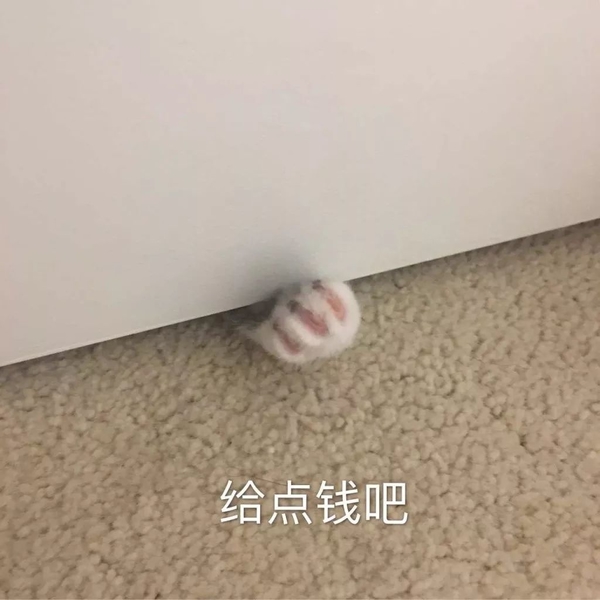 要饭保命表情包,双十一花式哭穷就指着它了!