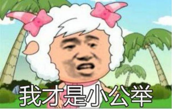 这些动画表情我不是放马的搞笑图片经典,摧毁了85后90后童年图片