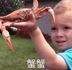 如果亲戚家的熊表情,都像雨带里的萌宝就好字关于搞笑图片下孩子的图片