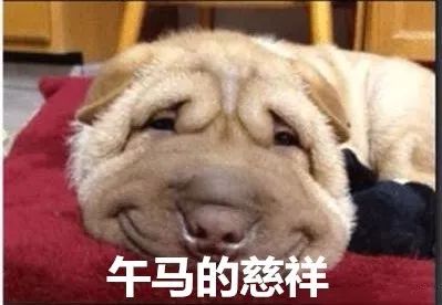 有了这波表情撞脸明星羡慕死了表情图片谁还敢跟我斗图图片