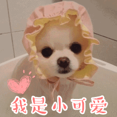 我是谁的小可爱 - 表情包搜索结果 - 表情包在线制作