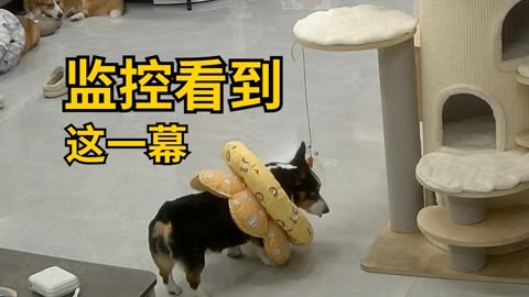 你来追我呀