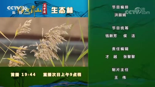 《绿水青山看中国》第二季 20190202 沙土