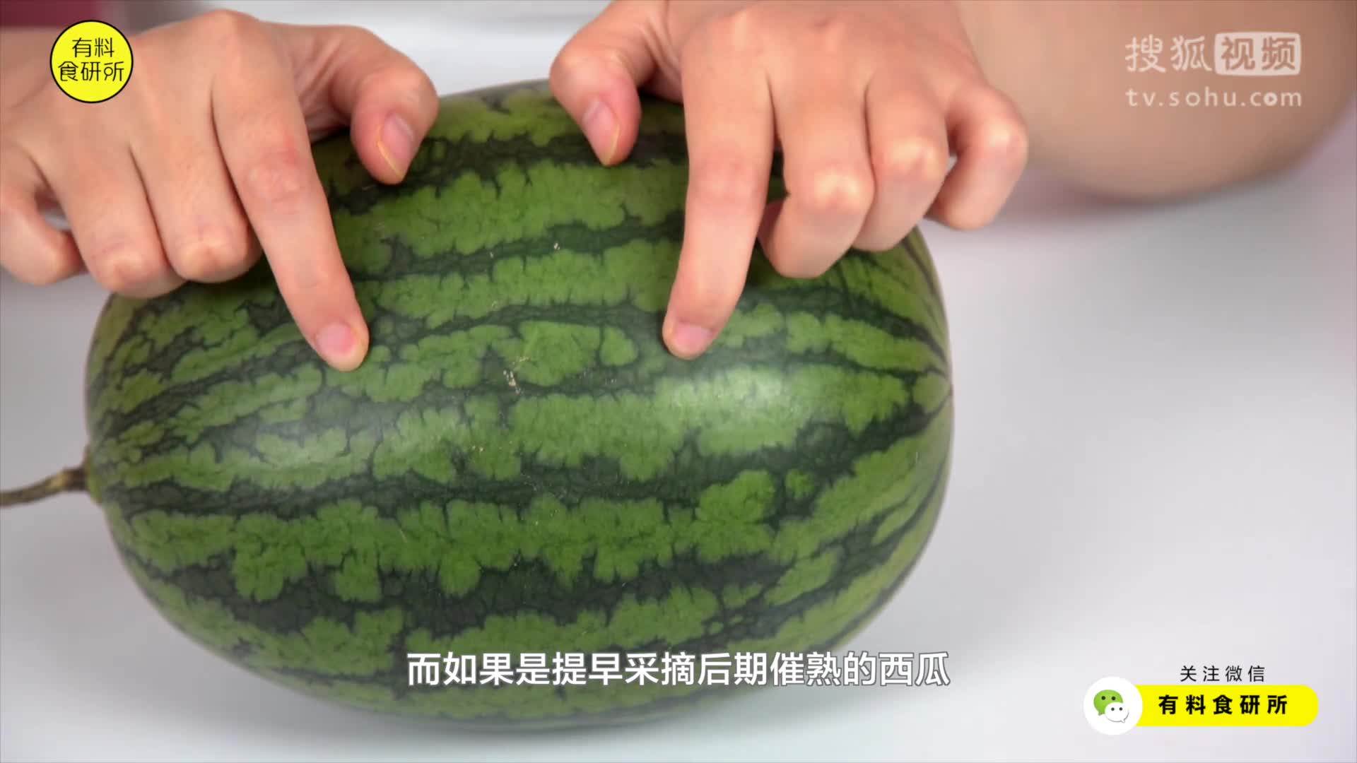 瓜农教我的挑西瓜技能，超级实用