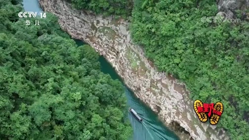 2019《最野假期》第五期：兩岸猿聲啼不住，輕舟已過萬重山