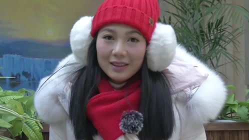 冰雪的游戲