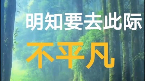 《再向虎山行》主題曲