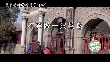 麻麻 不要做一只菜鸟 02