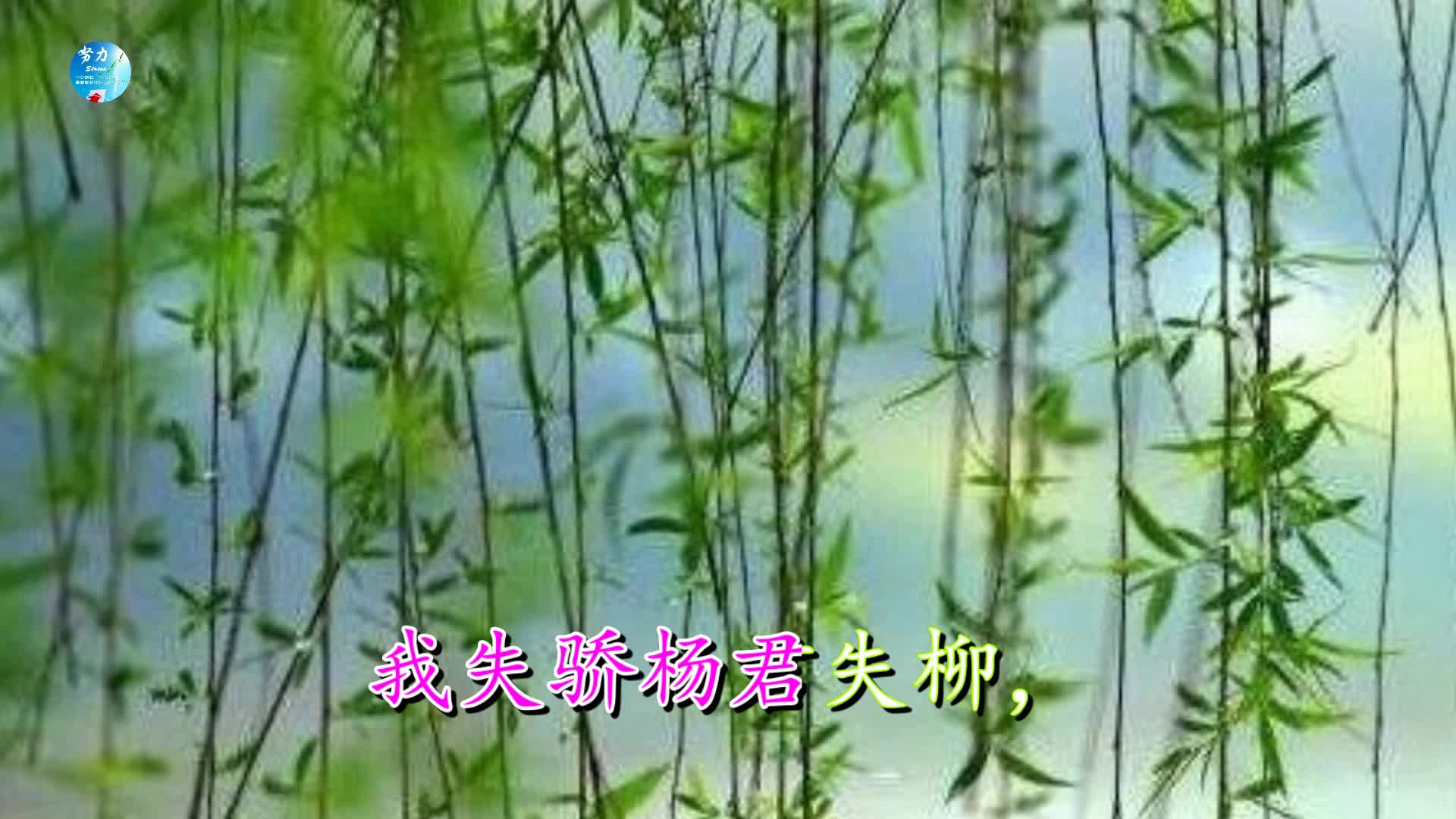 《蝶恋花 答李淑一》毛泽东 视频朗诵