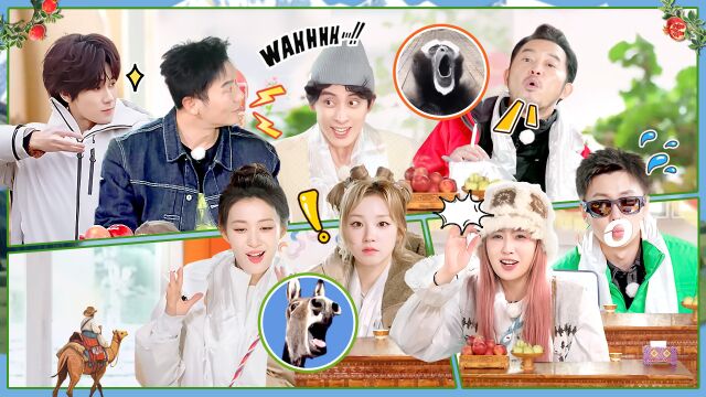 第2期：李晨张真源敖瑞鹏一起学驴叫