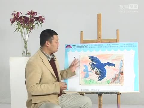 鹰