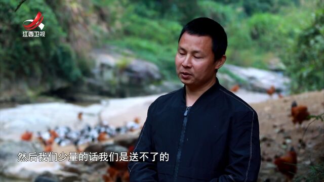 低空经济“飞”入寻常百姓家