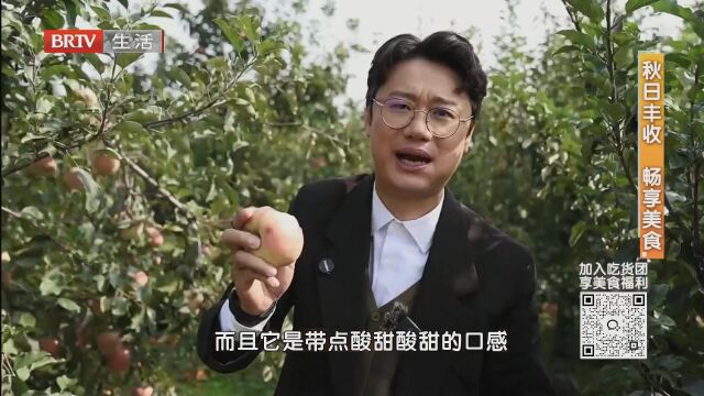 秋日丰收  畅享美食