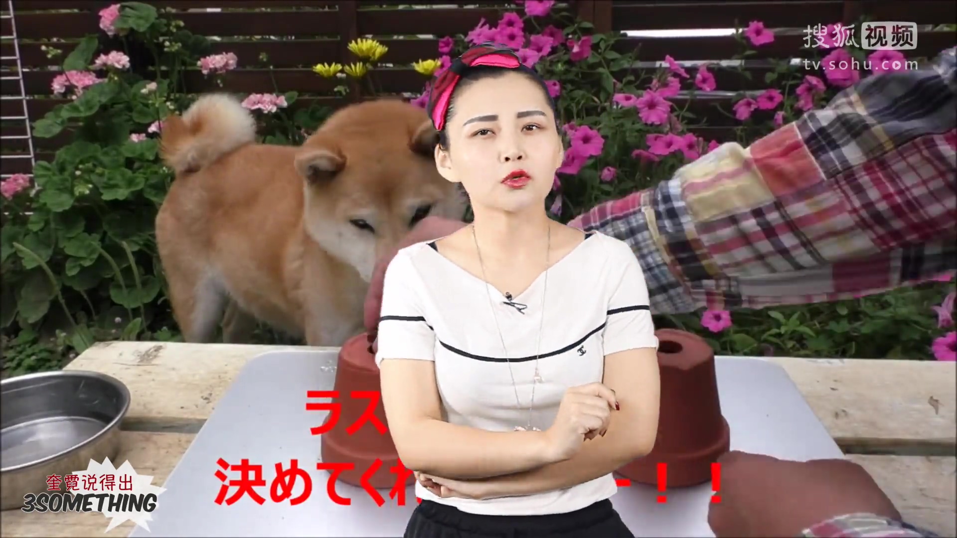 日本无下限恶搞整人节目