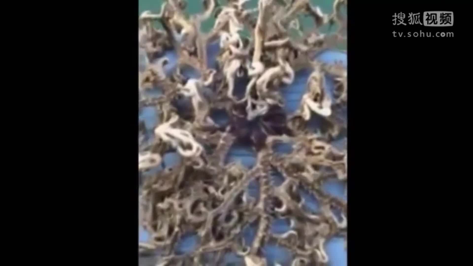 渔夫在海面上捞起一堆垃圾，接下来发生的事却把他吓