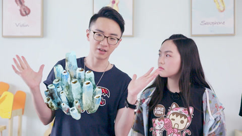 珊瑚是植物还是动物呢