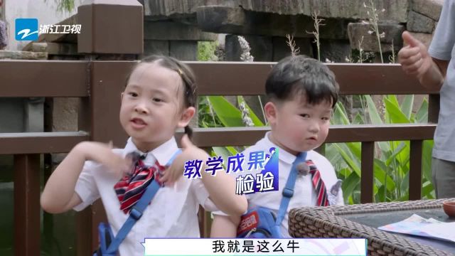 认真的人类幼崽太可爱