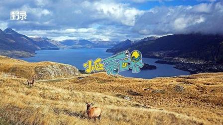 在这个有世界上最美星空的纯净国度 除了尖叫我们还能做什么？