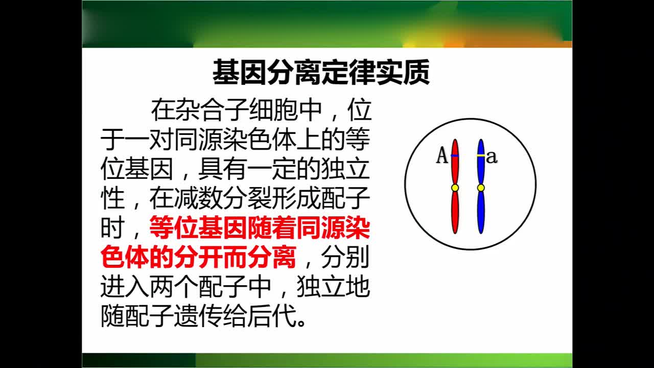 高中生物 基因定位与遗传性状