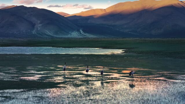 驶过来古冰川的闪耀，一起聆听雅鲁藏布江的絮语