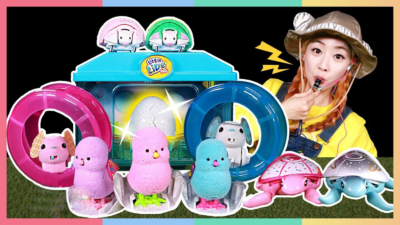 小动物管理员爱丽登场！宠物宝宝玩具开箱！| 凯利和玩具朋友们 CarrieAndToys#盲盒#过家家