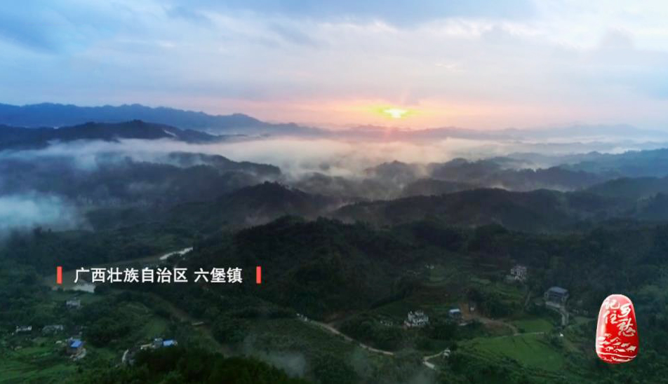 《记住乡愁》第六季 20200330 特别节目——坚韧执着 砥砺前行